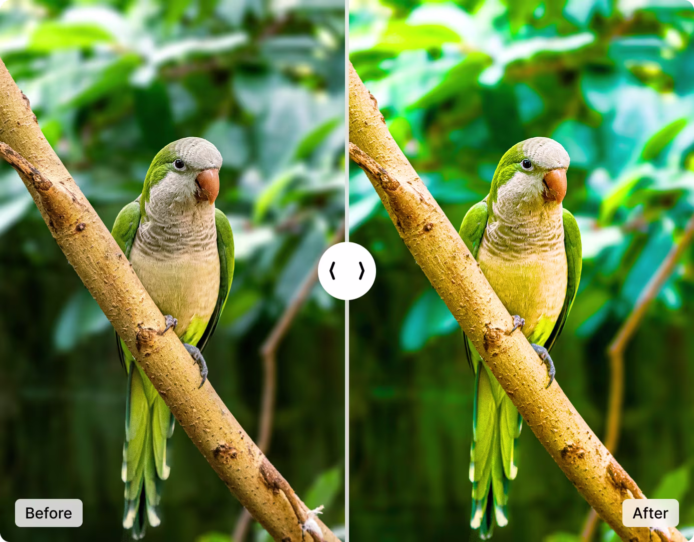 Before and after comparison showing a landscape photo transformed from dull, washed-out colors to vivid, balanced tones using ImgGen AI color correction