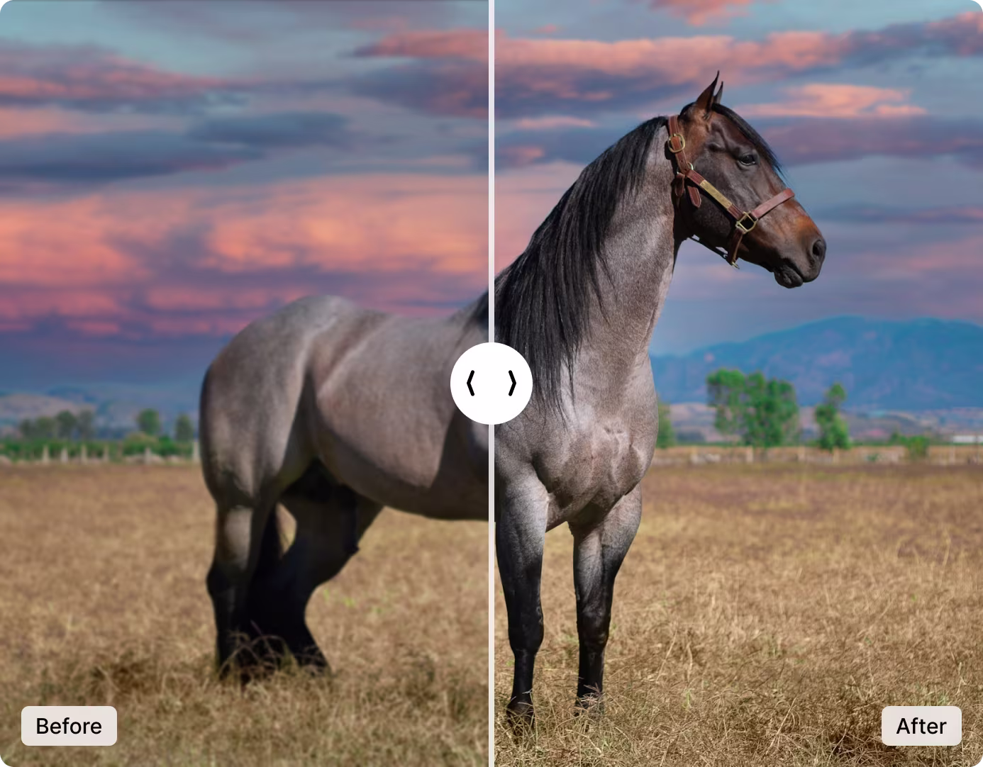 Before and after comparison of AI image sharpening — blurry portrait enhanced to crisp, detailed clarity